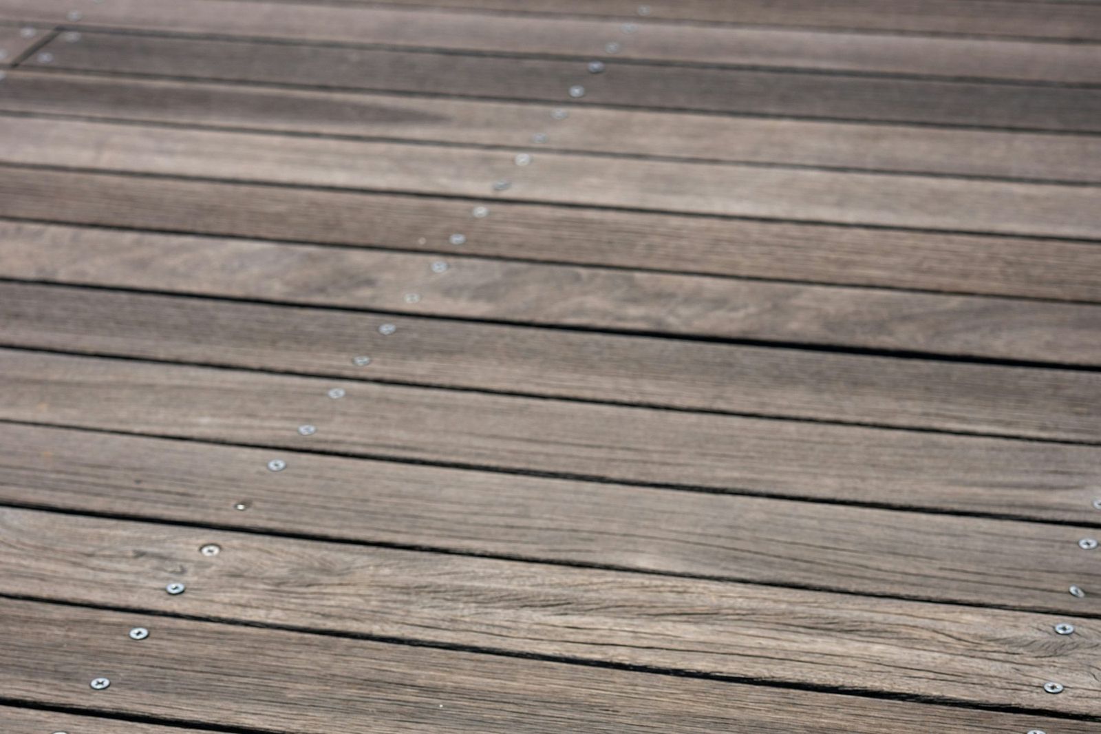 Weathered wooden deck boards fixed with rows of stainless steel screws